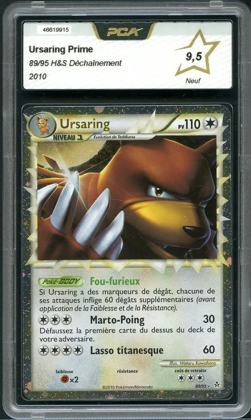PCA 9.5 Ursaring Prime