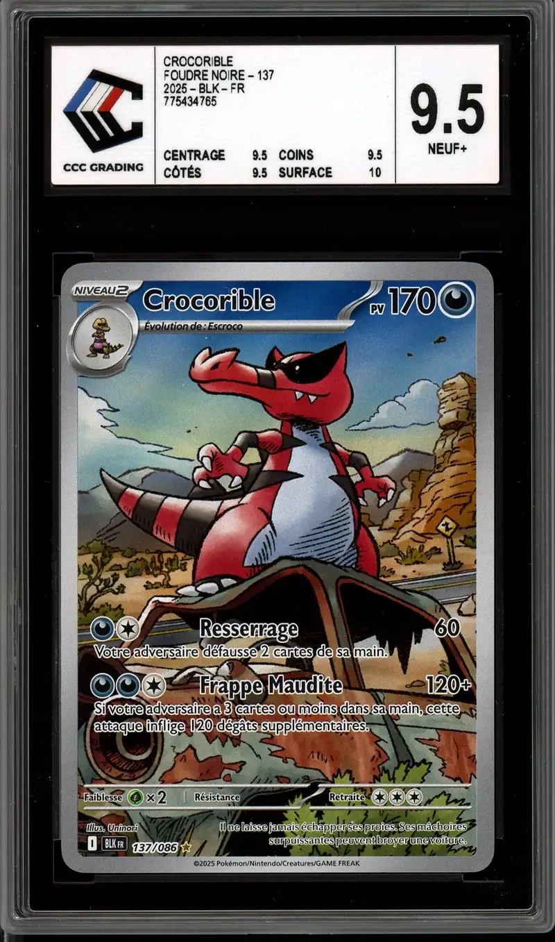 CCC 9.5 Crocorible
