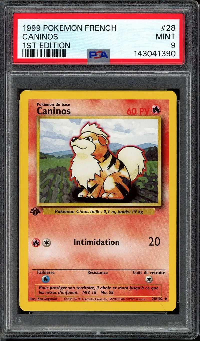 PSA 9 Caninos