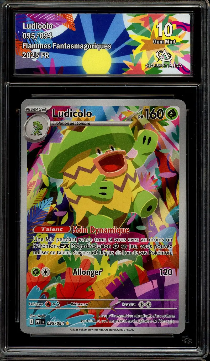 CA 10 Ludicolo
