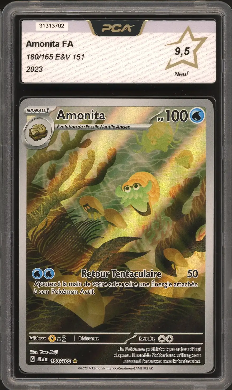 PCA 9.5 Amonita