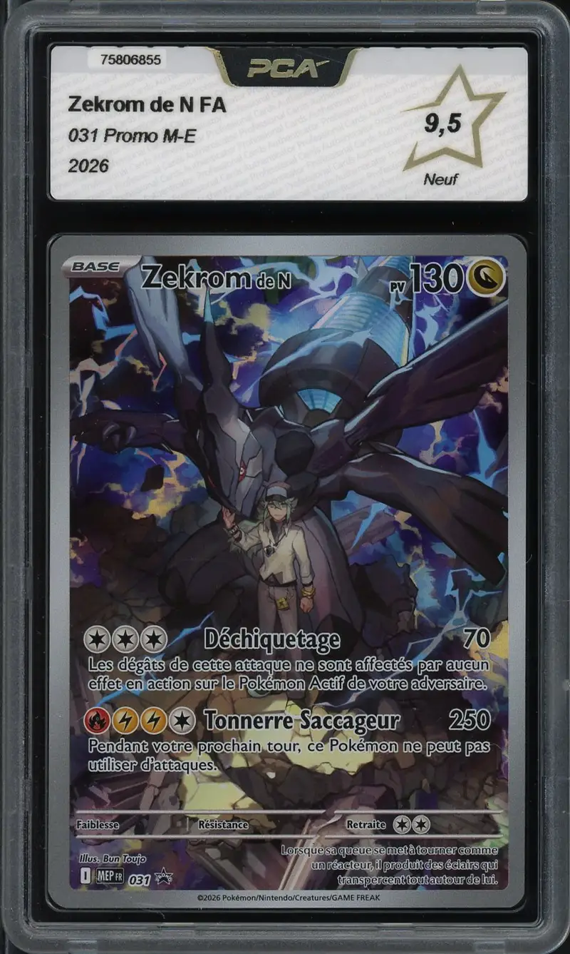 PCA 9.5 Zekrom de N