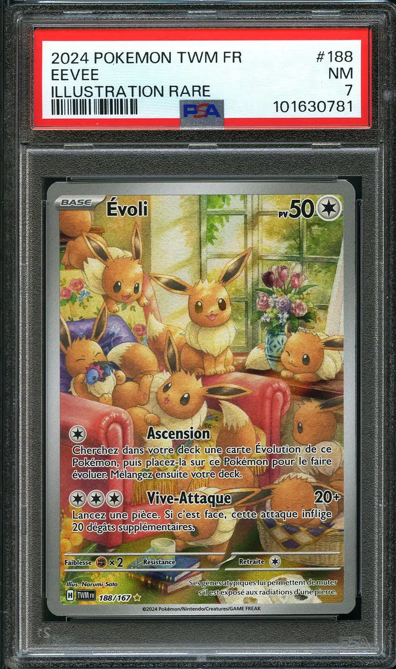PSA 7 Evoli