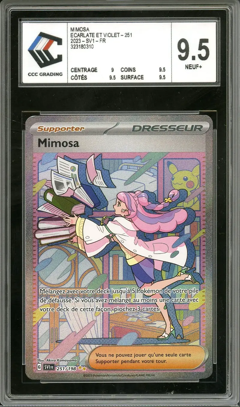 CCC 9.5 Mimosa