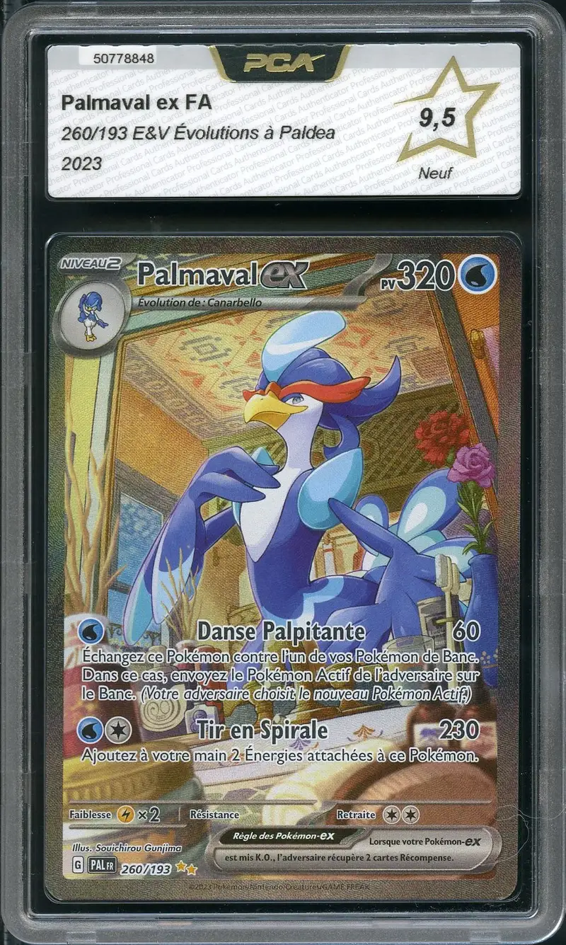 PCA 9.5 Palmaval Ex