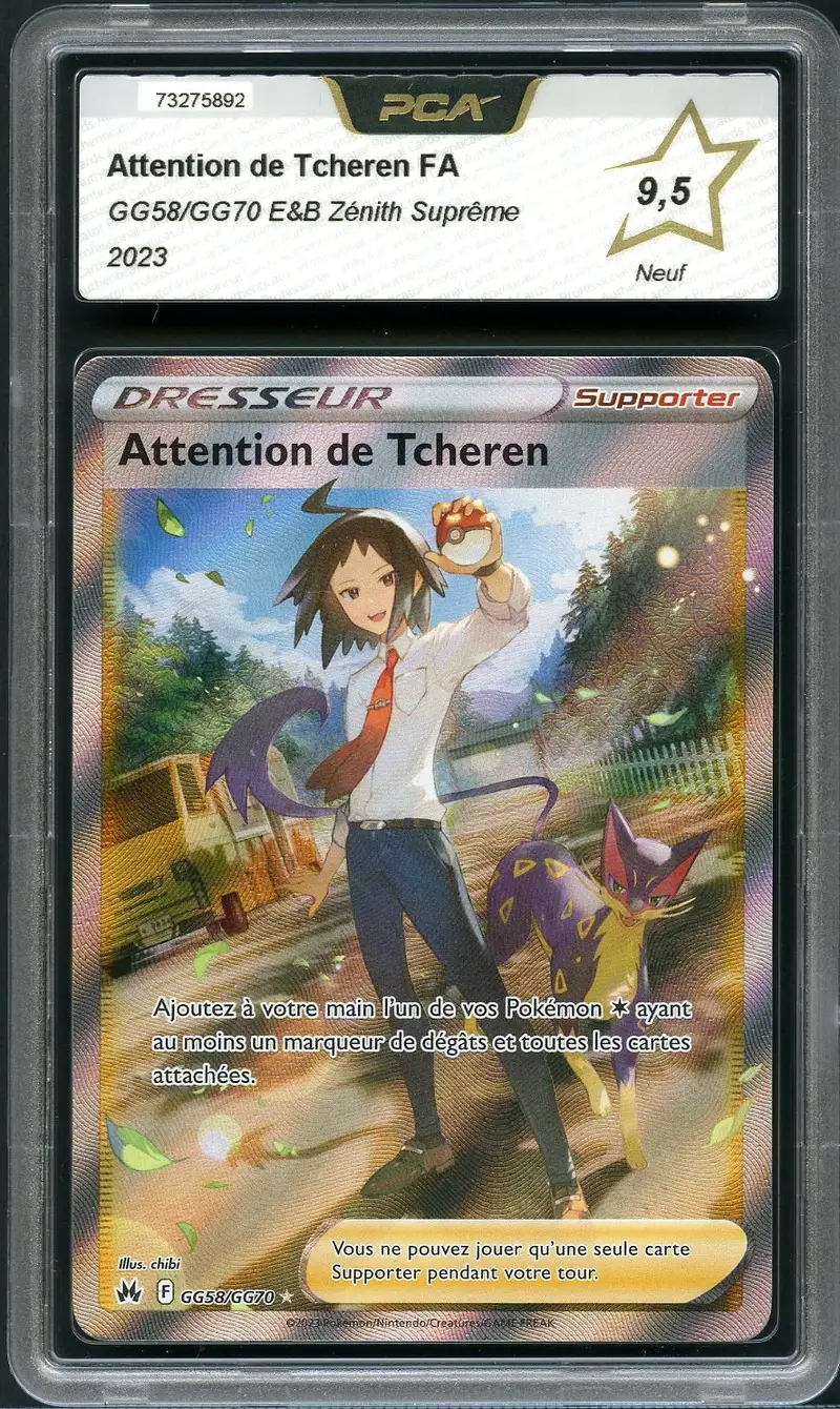 PCA 9.5 Attention de Tcheren