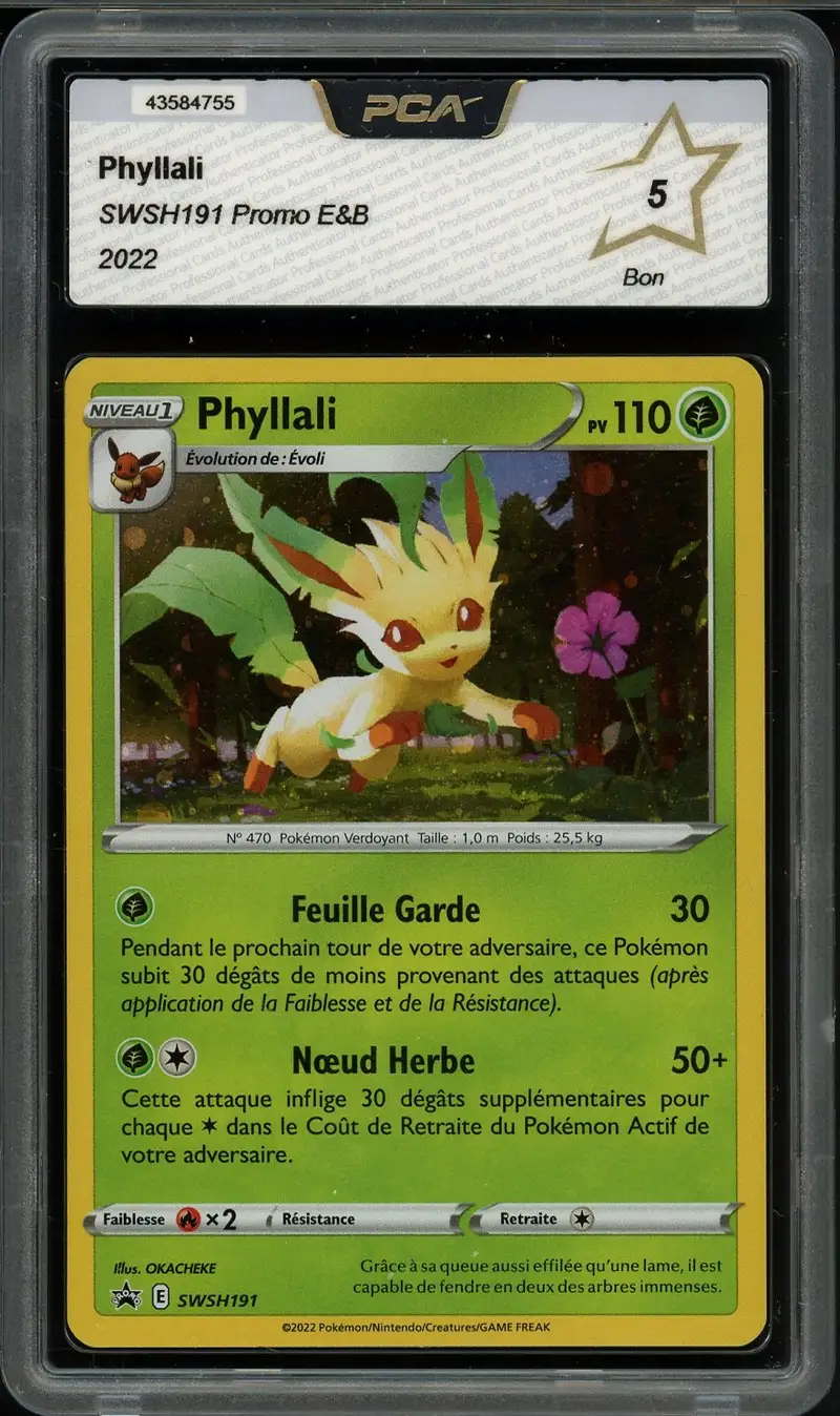 PCA 5 Phyllali Holo