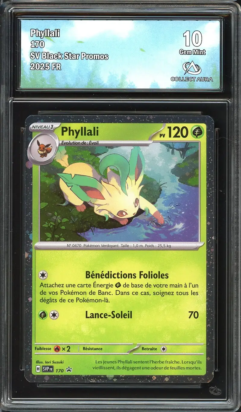 CA 10 Phyllali Holo