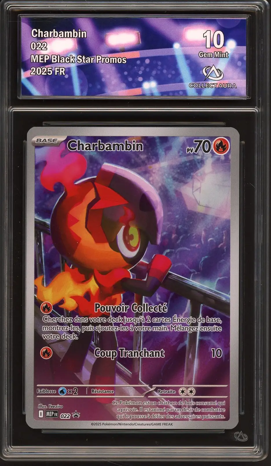 CA 10 Charbambin