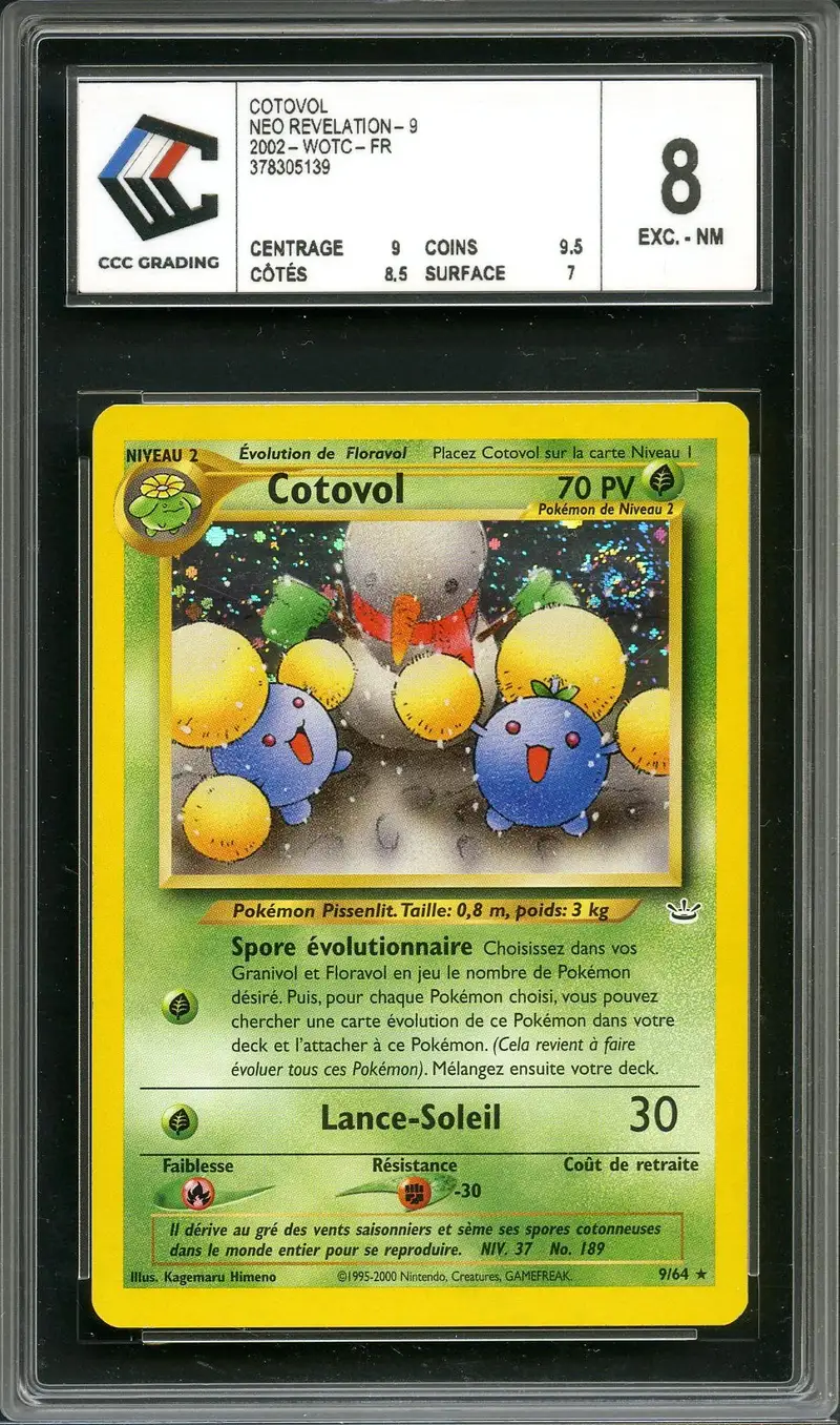 CCC 8 Cotovol Holo