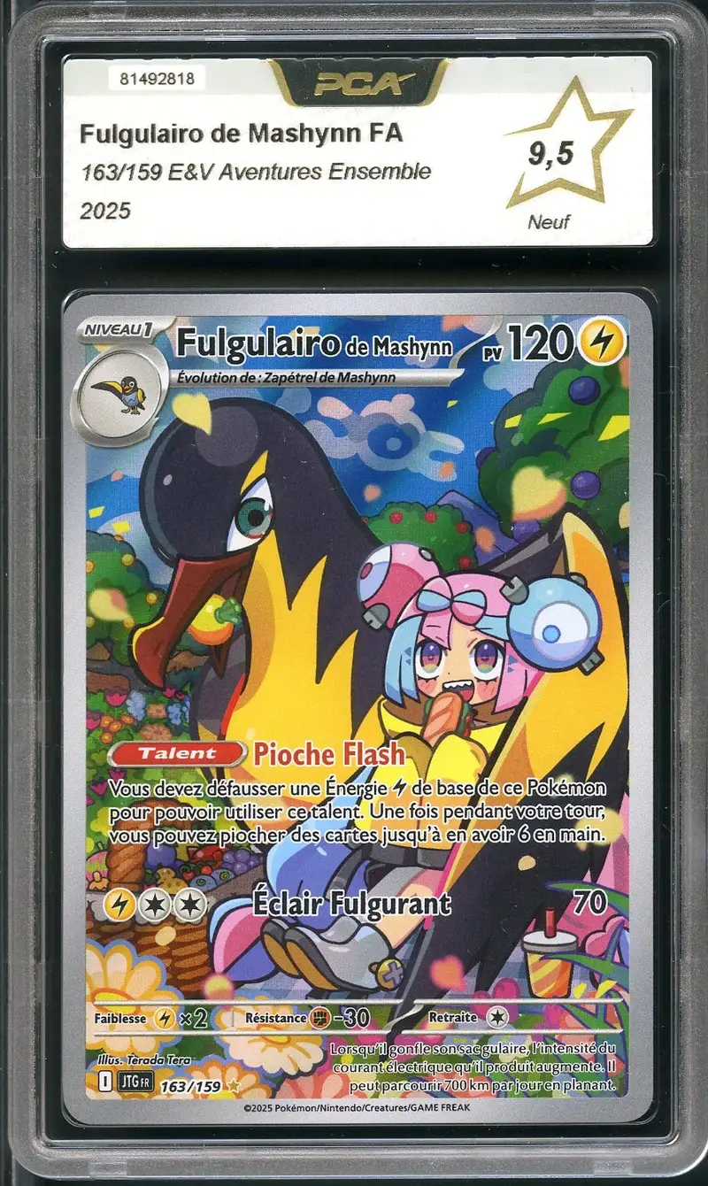 PCA 9.5 Fulgulairo de Mashynn
