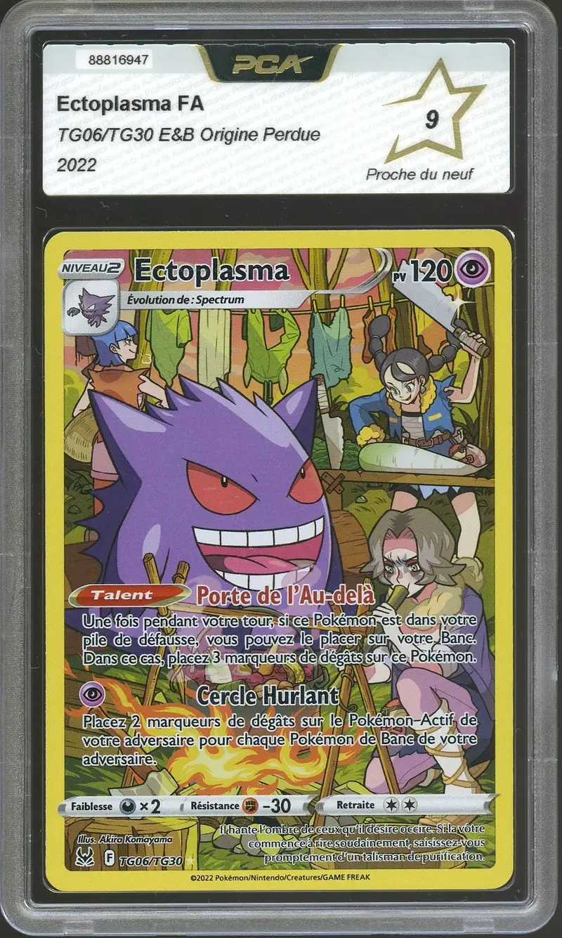 PCA 9 Ectoplasma