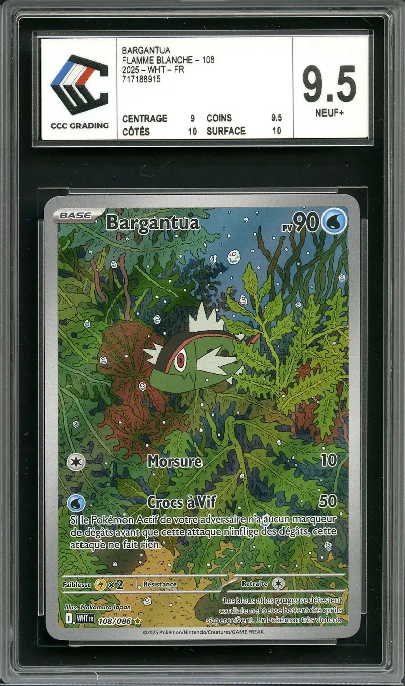 CCC 9.5 Bargantua