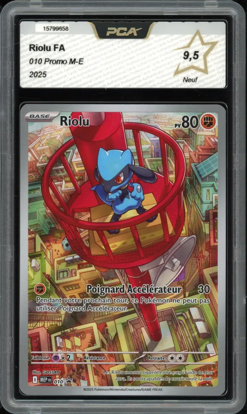 PCA 9.5 Riolu