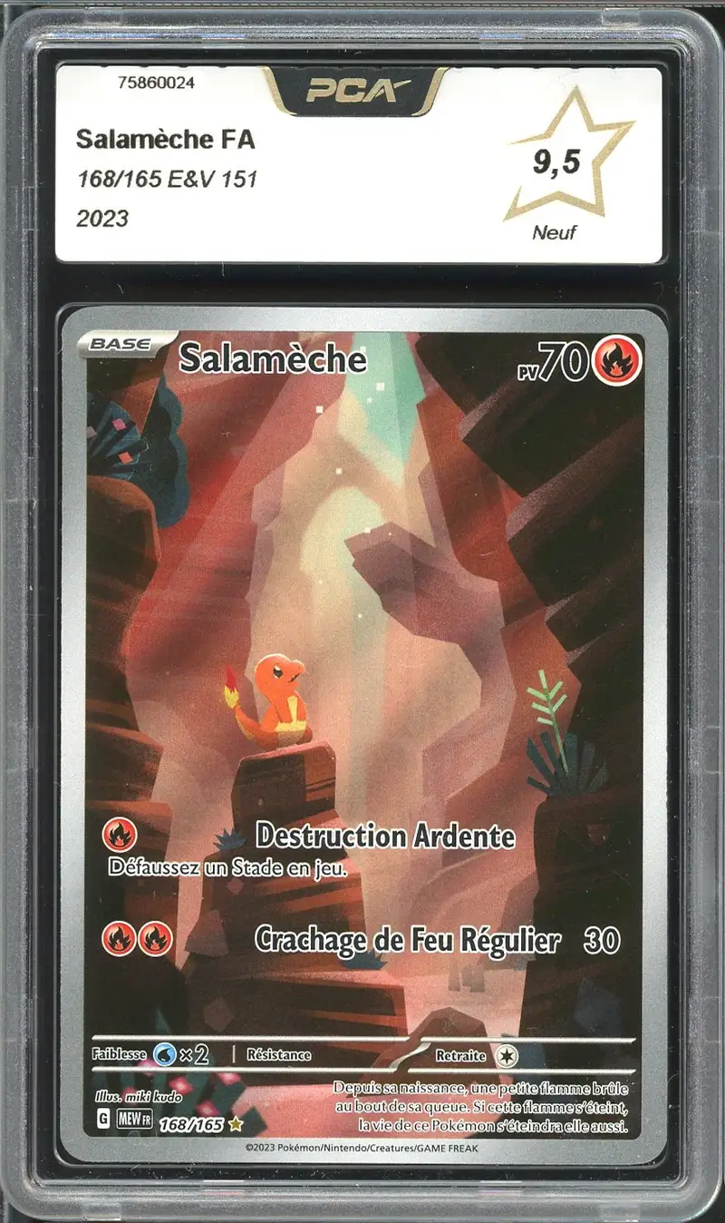 PCA 9.5 Salamèche