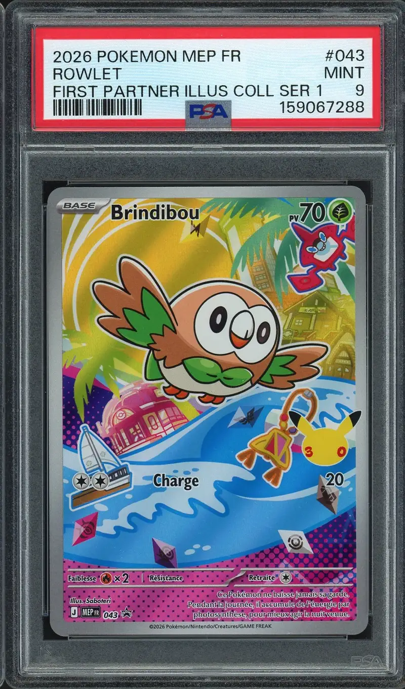 PSA 9 Brindibou