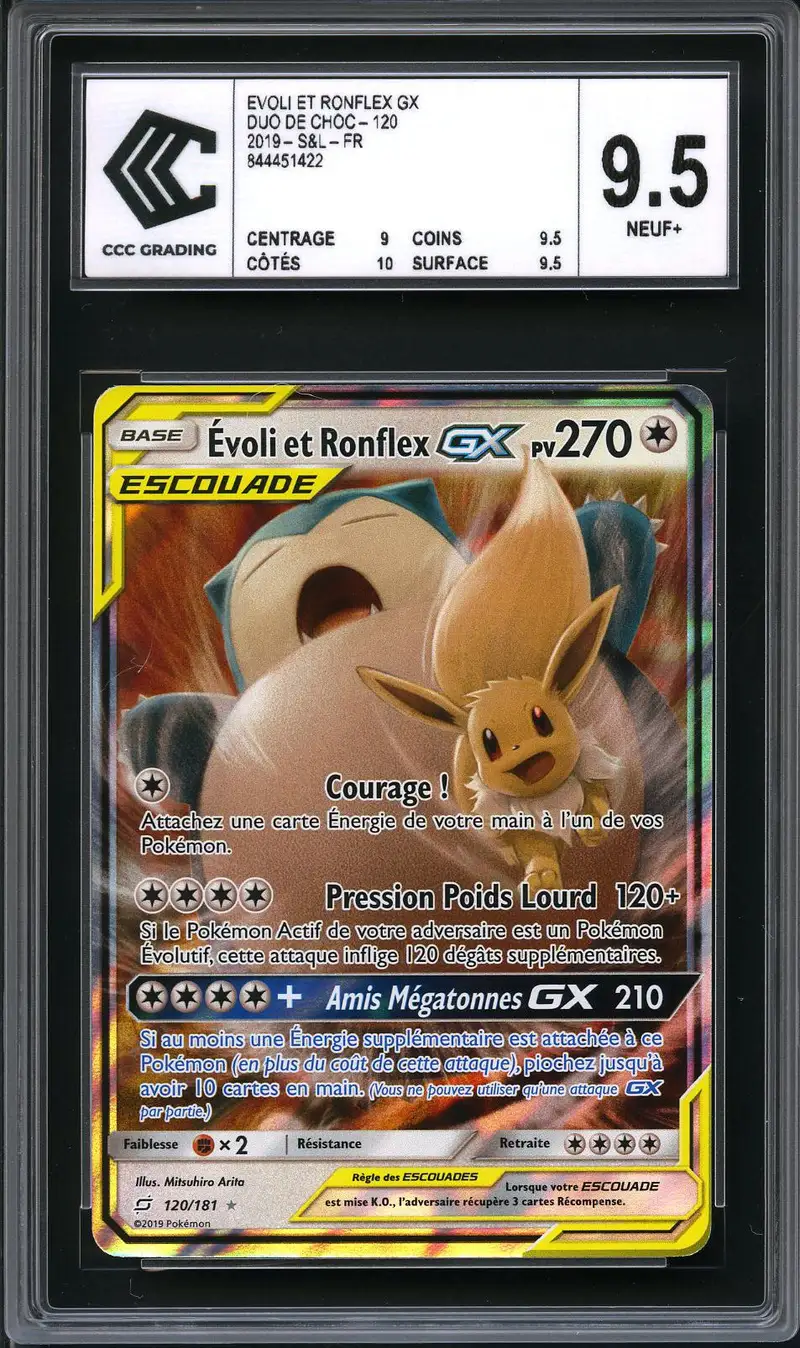 CCC 9.5 Evoli et Ronflex Gx