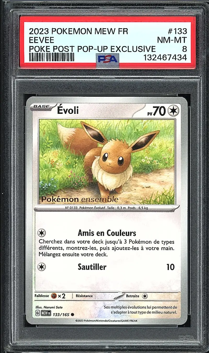 PSA 8 Evoli