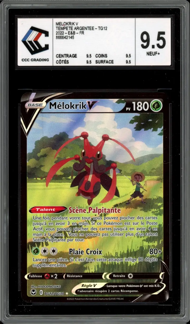 CCC 9.5 Mélokrik V