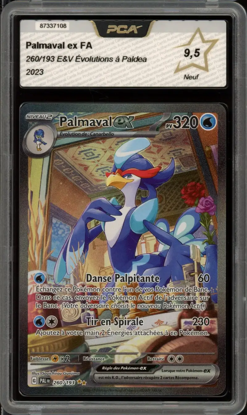 PCA 9.5 Palmaval Ex