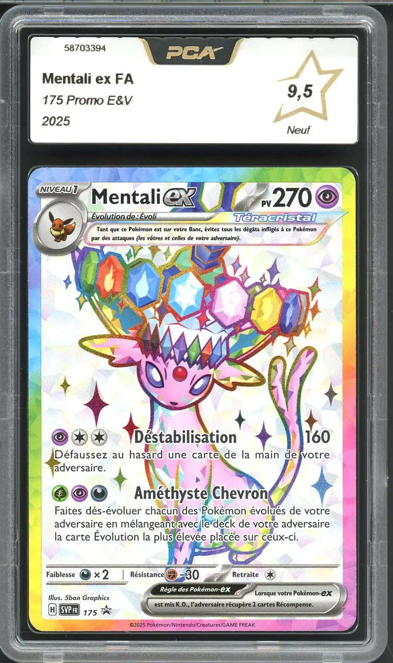PCA 9.5 Mentali Ex