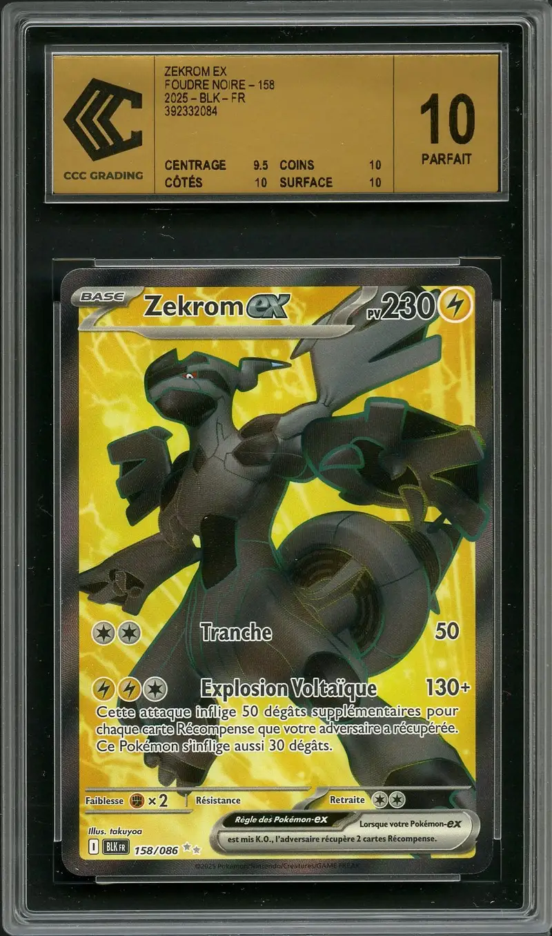 CCC 10 Zekrom Ex