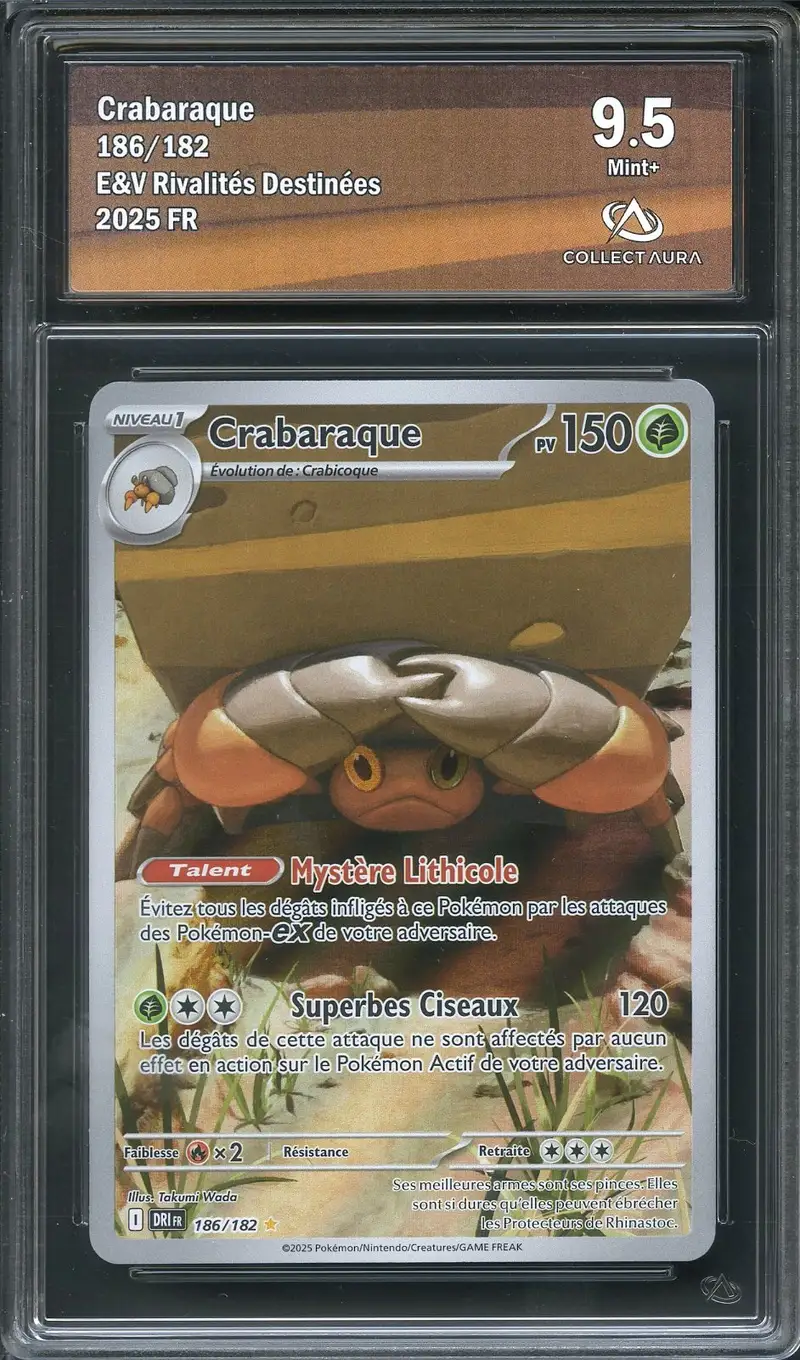 CA 9.5 Crabaraque