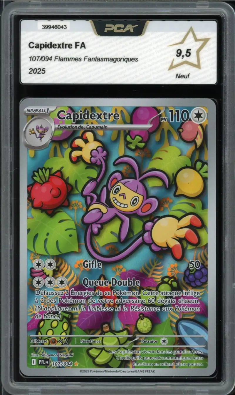 PCA 9.5 Capidextre