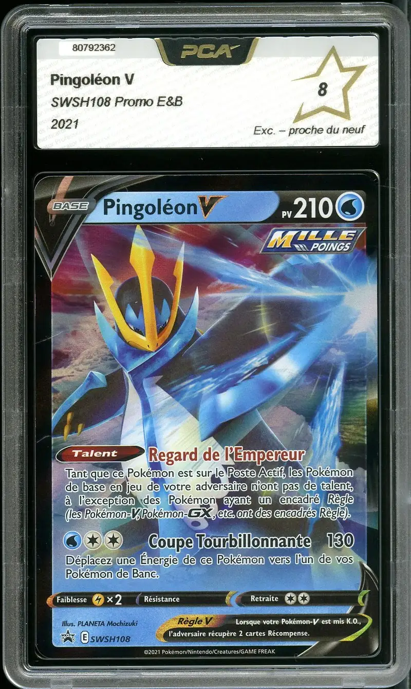 PCA 8 Pingoléon V