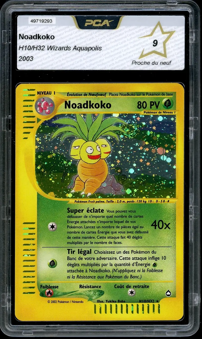 PCA 9 Noadkoko Holo