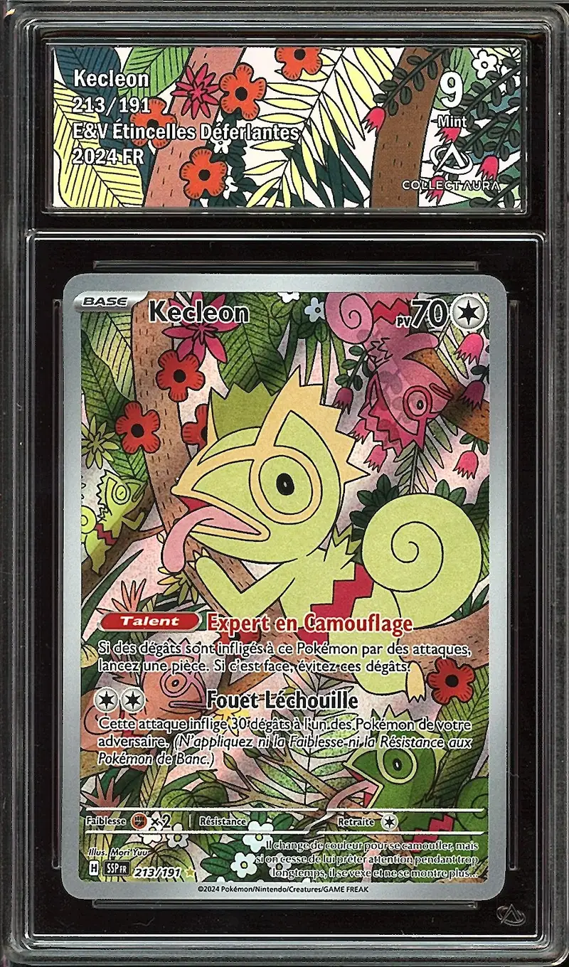 CA 9 Kecleon