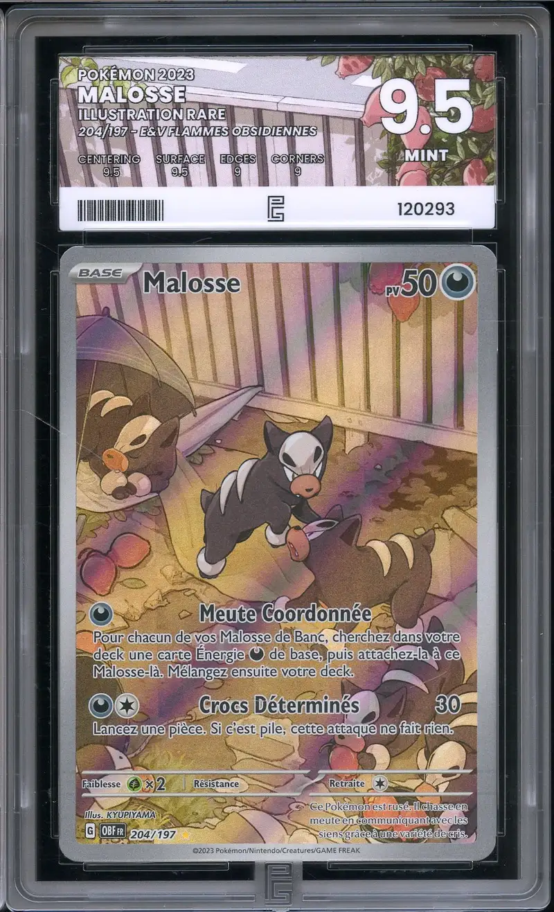 PG 9.5 Malosse
