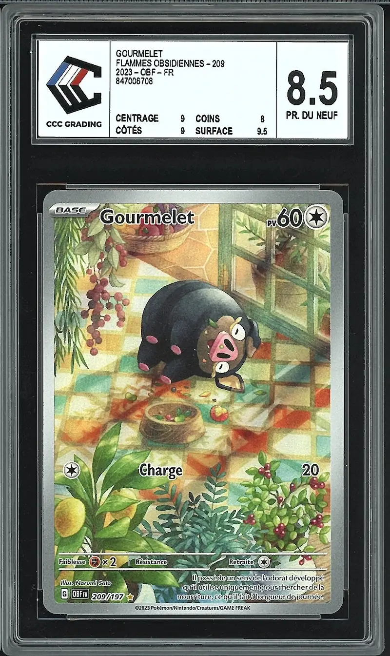 CCC 8.5 Gourmelet