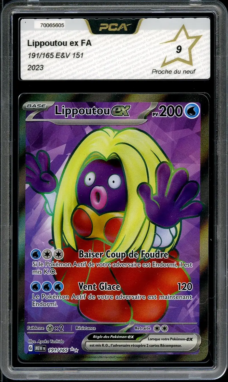PCA 9 Lippoutou Ex