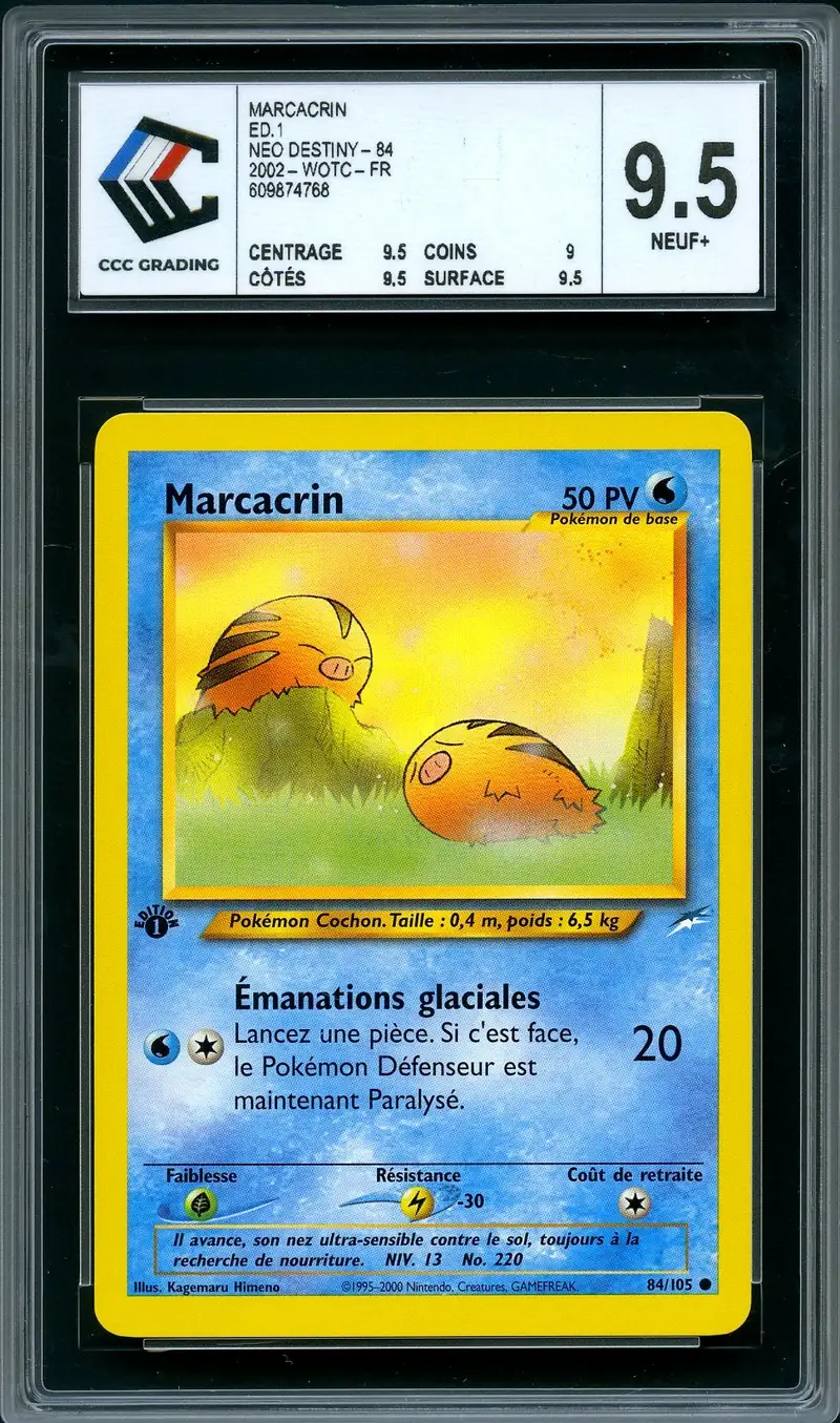 CCC 9.5 Marcacrin