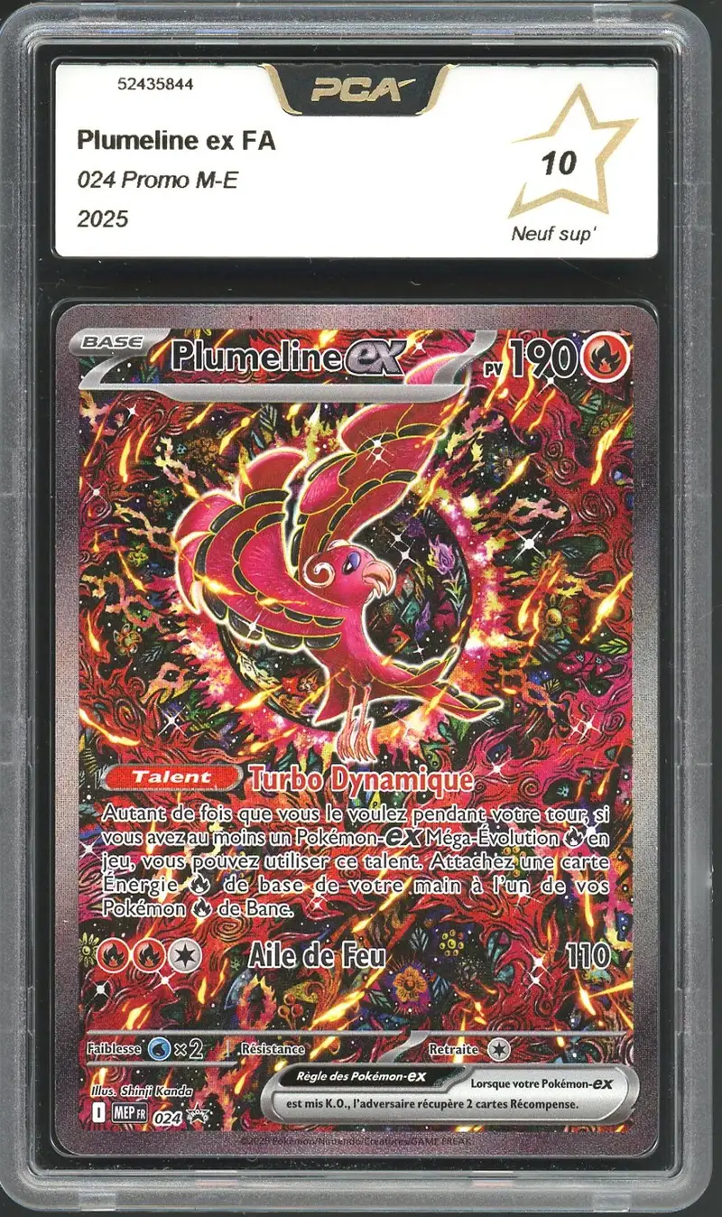 PCA 10 Plumeline Ex
