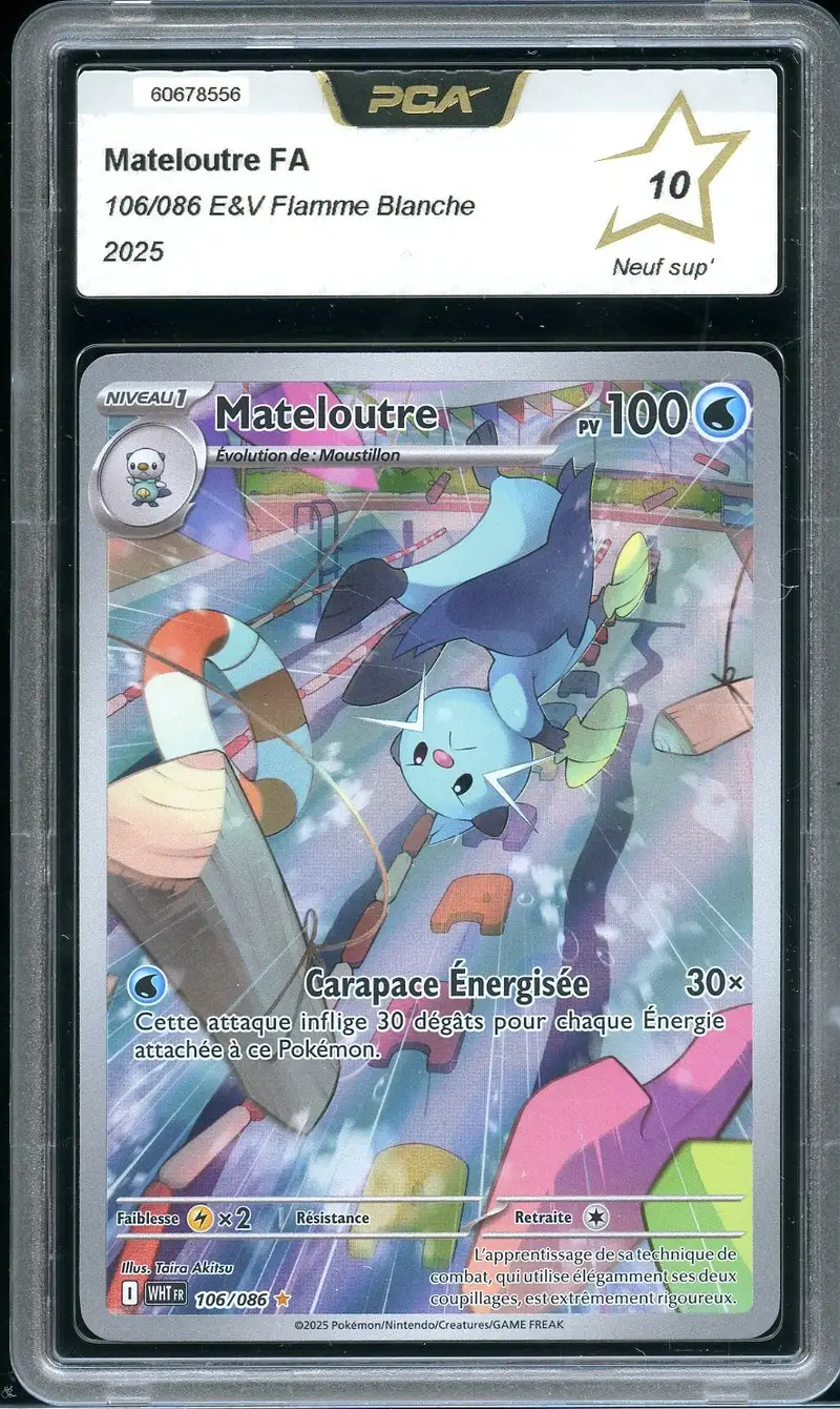 PCA 10 Mateloutre