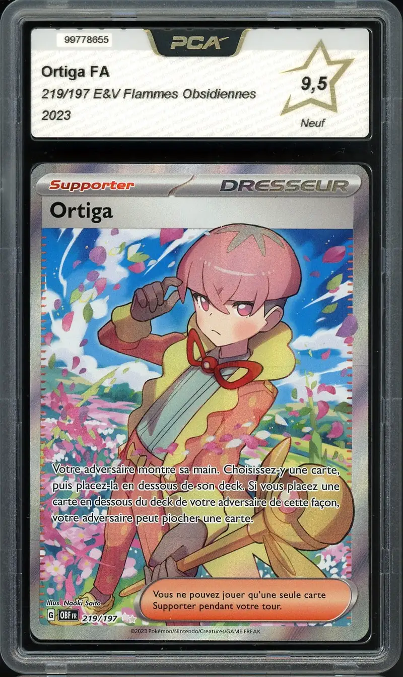 PCA 9.5 Ortiga