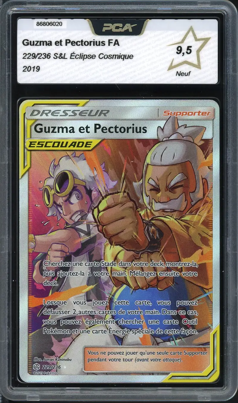 PCA 9.5 Guzma et Pectorius