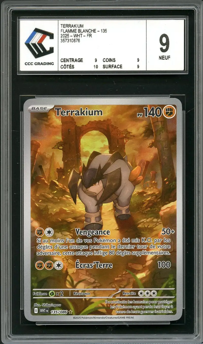 CCC 9 Terrakium
