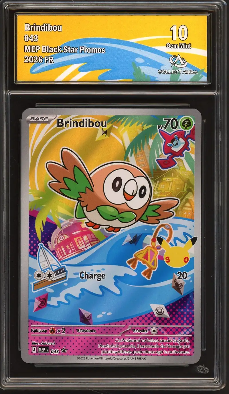 CA 10 Brindibou