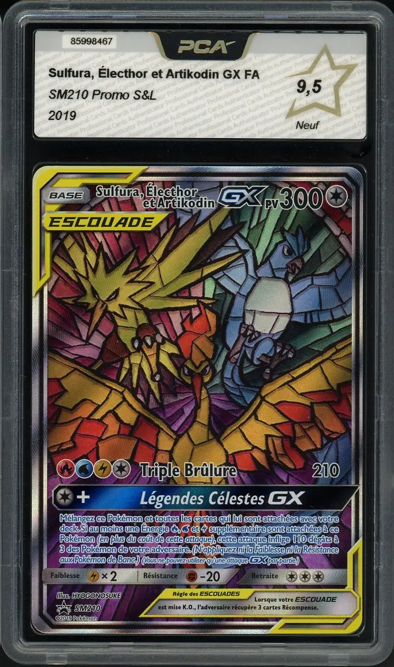 PCA 9.5 Sulfura, Électhor et Artikodin Gx