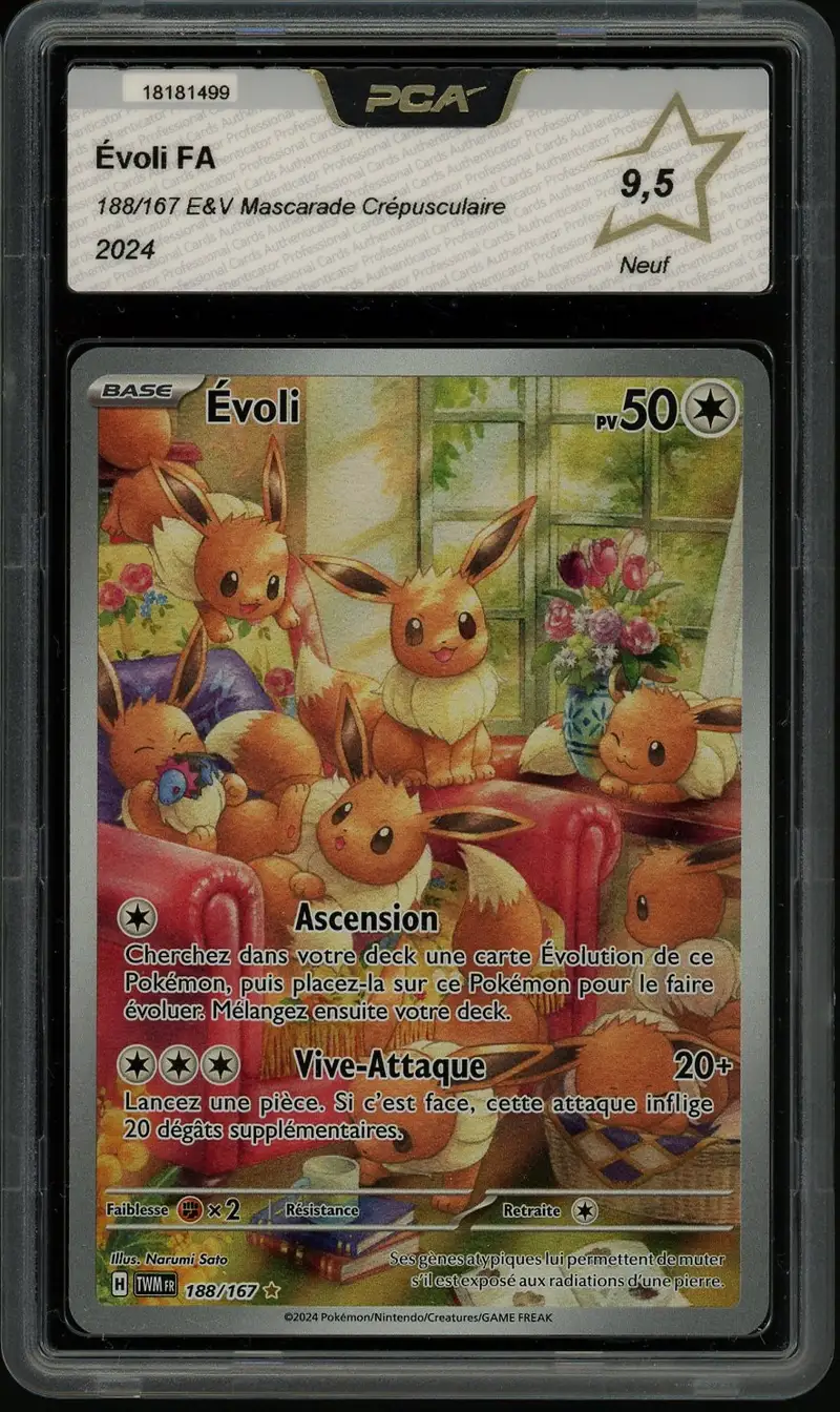 PCA 9.5 Evoli