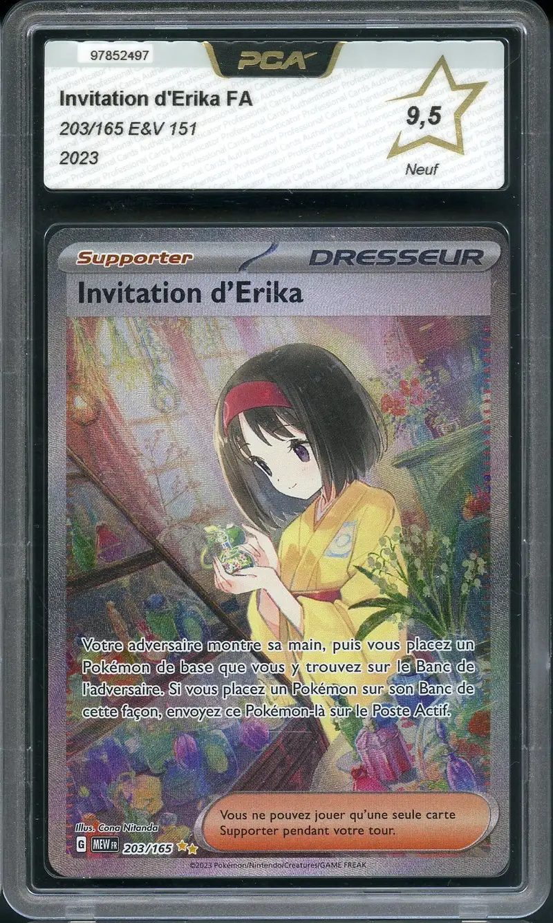 PCA 9.5 Invitation d'Erika