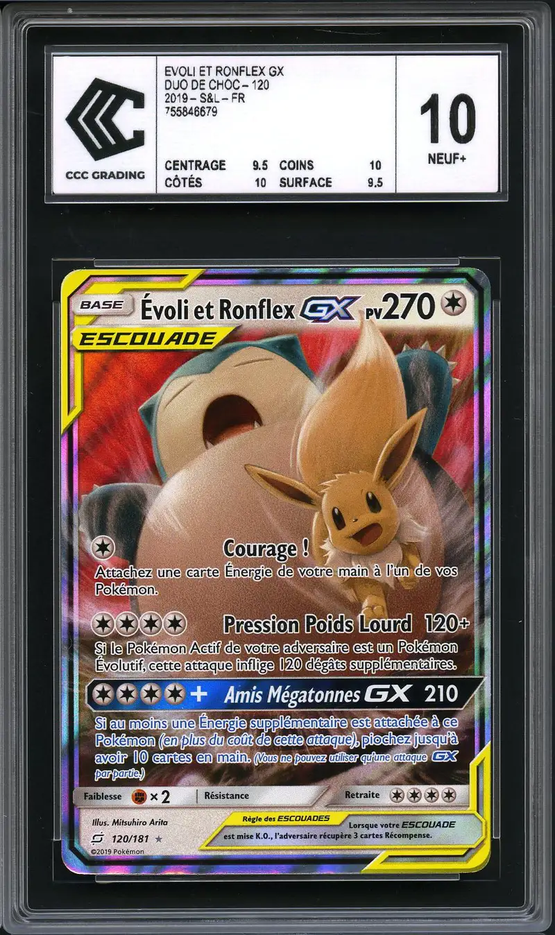 CCC 10 Evoli et Ronflex Gx