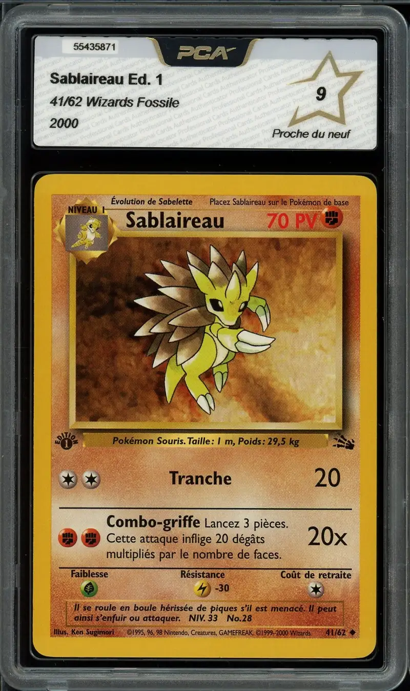 PCA 9 Sablaireau