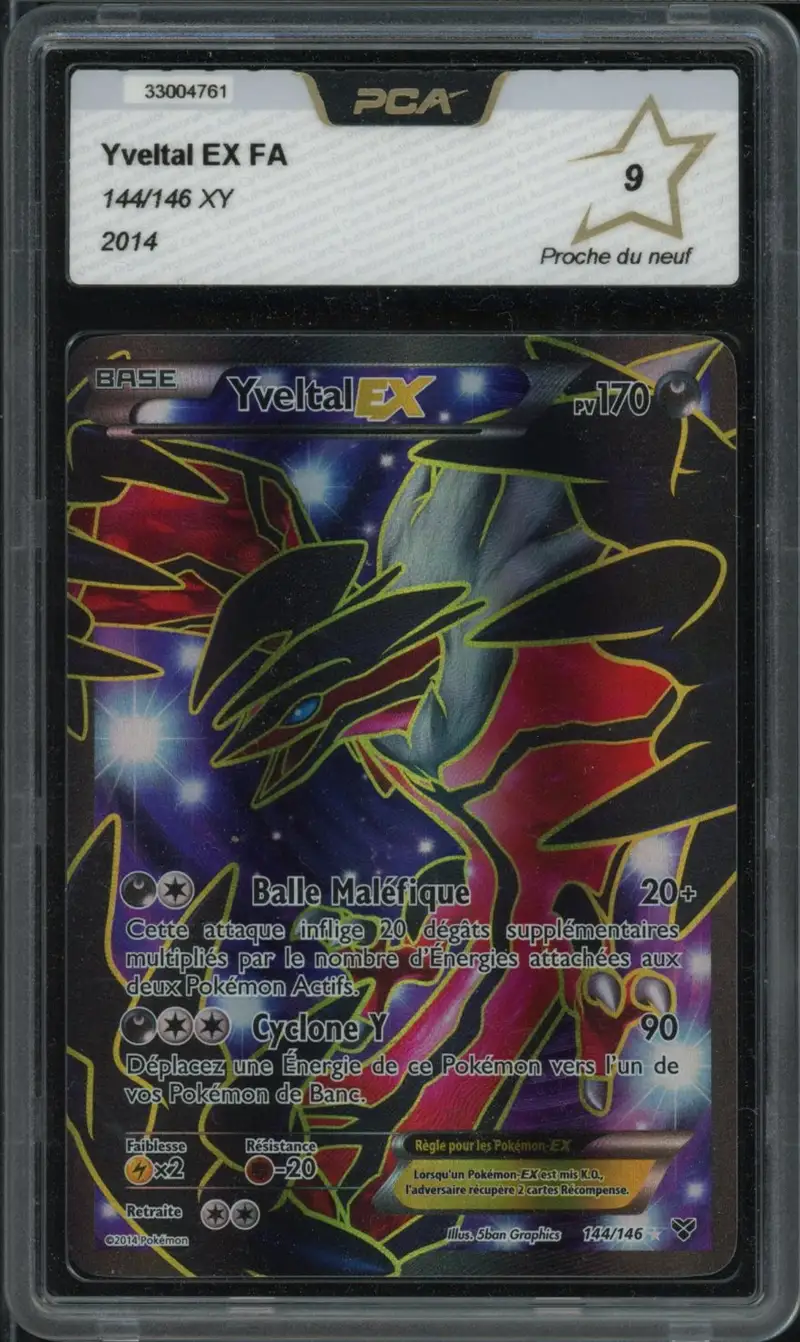 PCA 9 Yveltal Ex