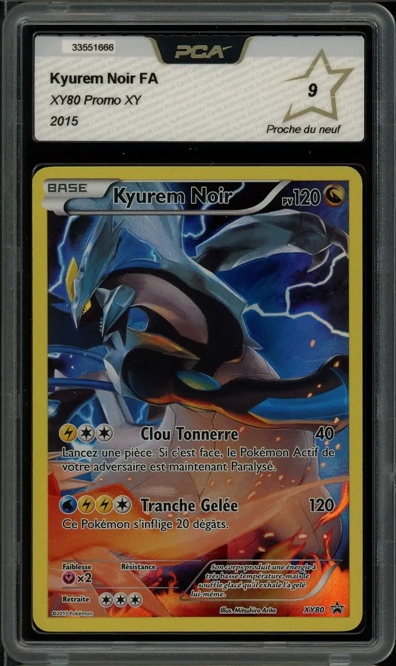 PCA 9 Kyurem Noir