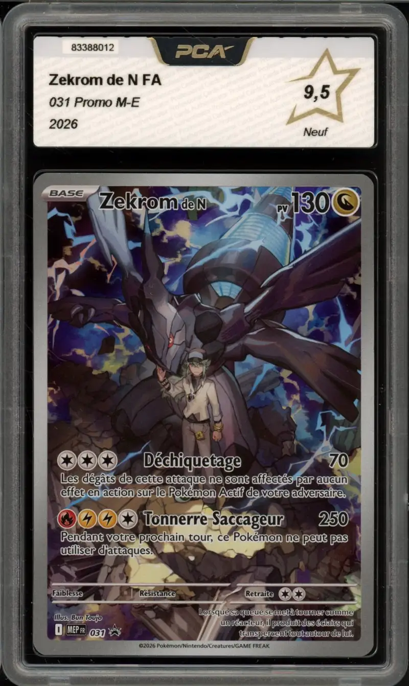 PCA 9.5 Zekrom de N