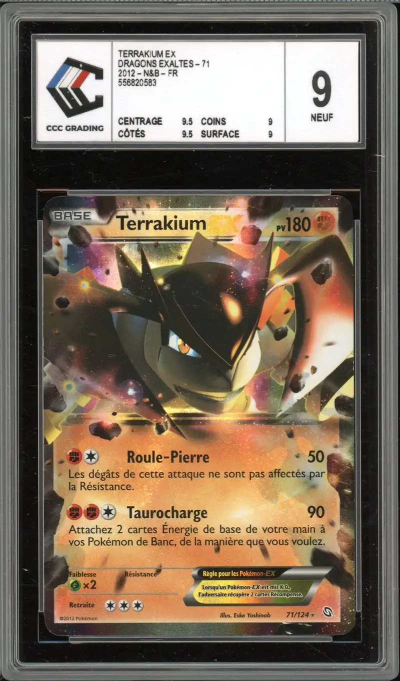 CCC 9 Terrakium Ex
